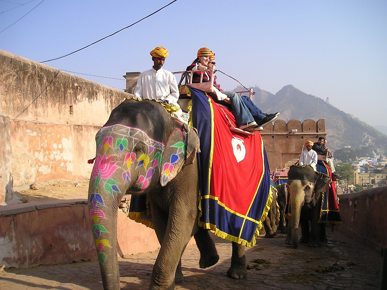 india, elephant, transport-364.jpg